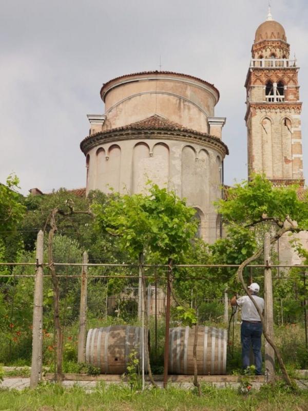 San Michele - Die Friedhofsinsel von Venedig