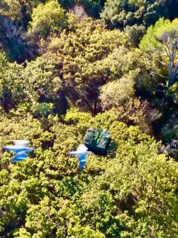 La chasse vue du ciel