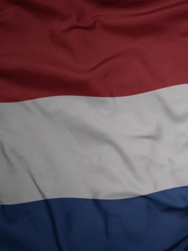 Simone en de Roofstaat