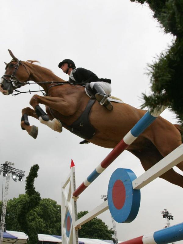 Saut d'obstacles