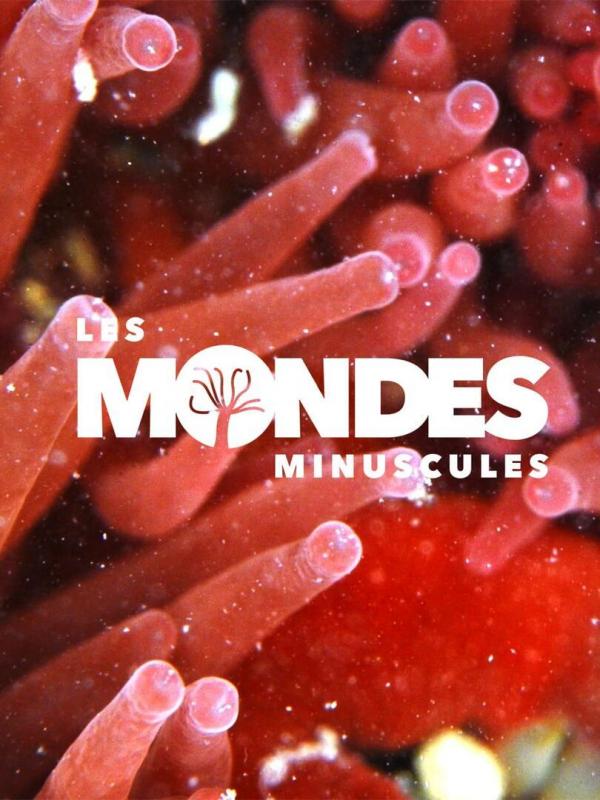 Les mondes minuscules