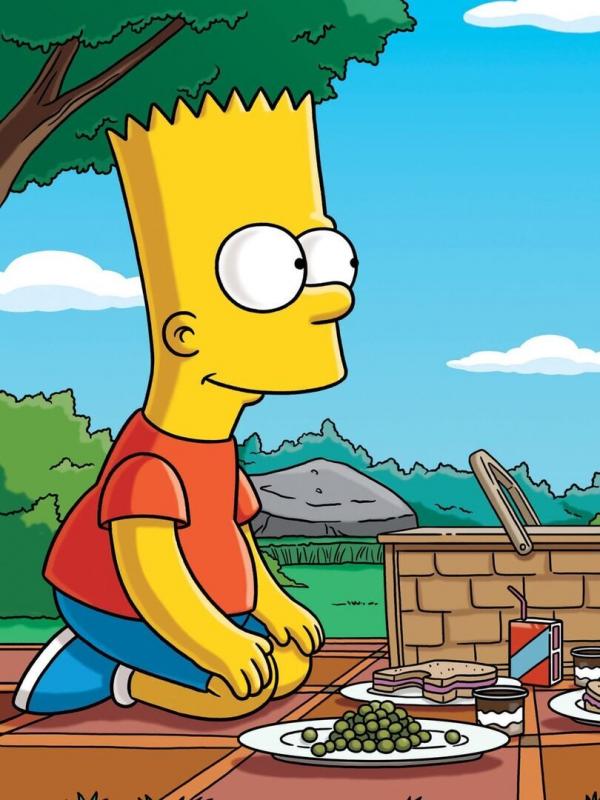 Die Simpsons S20 E17