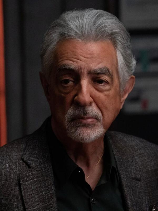 Esprits criminels S18 E8