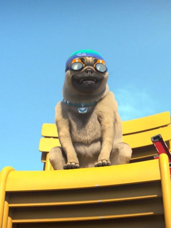 Mike, une vie de chien S1 E3