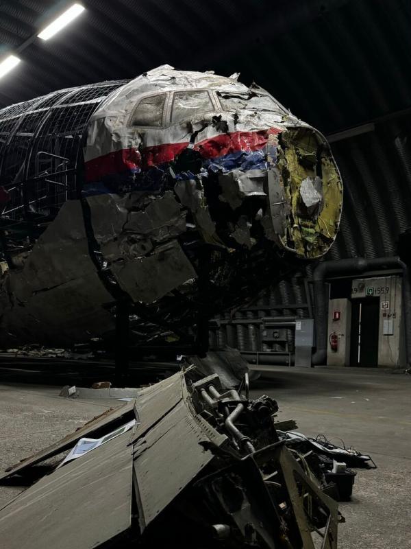 Murder in the skies: who downed MH17?
