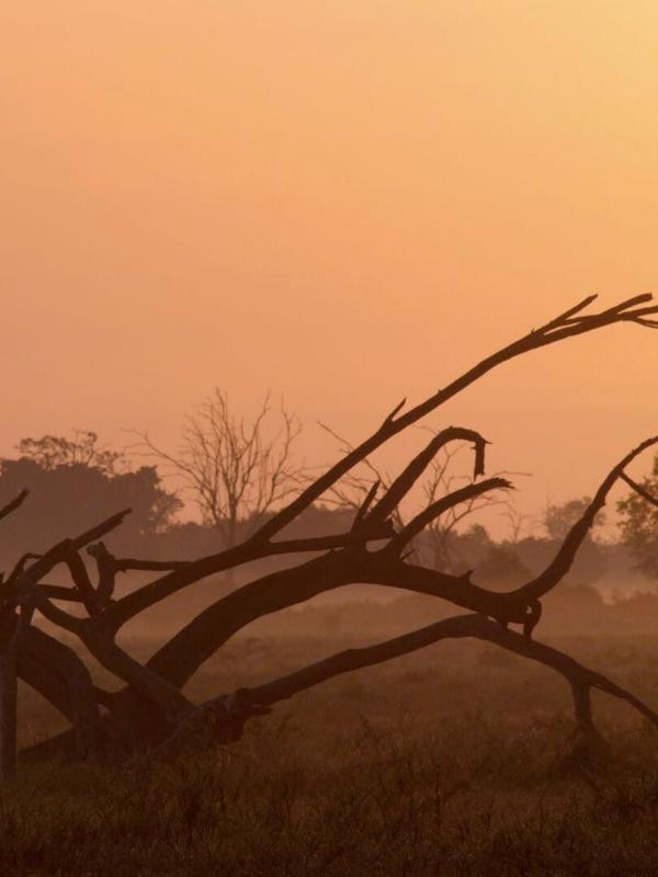 Une oasis sauvage au Kenya : Le temps des sécheresses