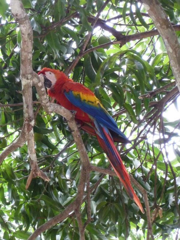 Costa Rica