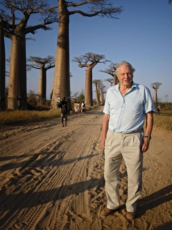 Attenborough and the Giant Egg