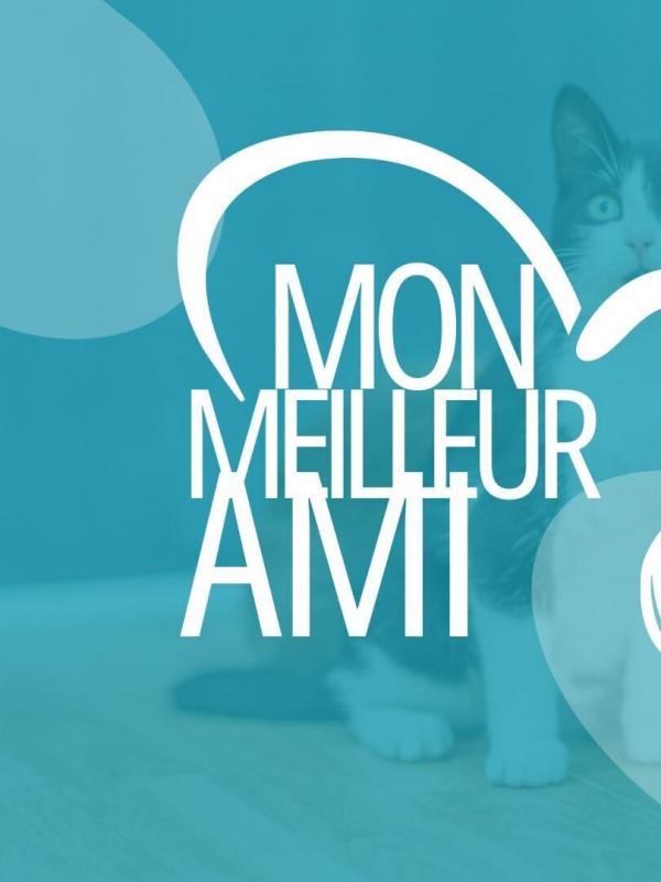 Mon meilleur ami