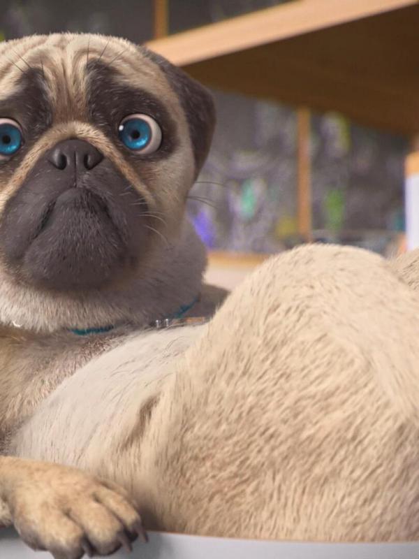Mike, une vie de chien S1 E67