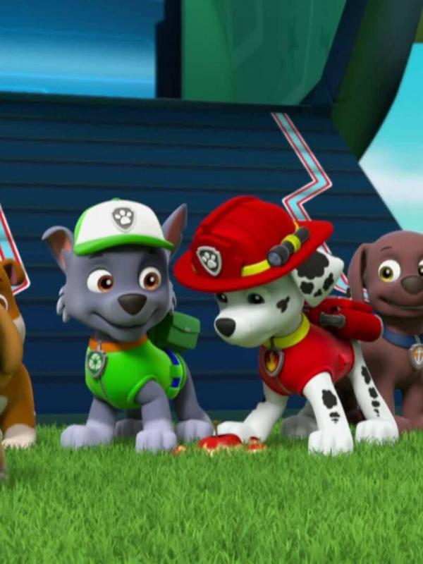 Paw Patrol S5 E5