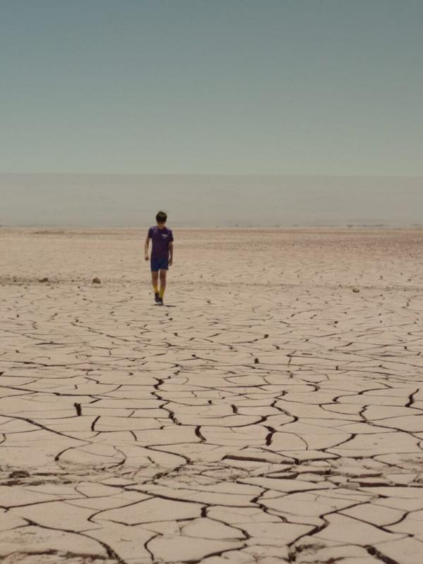 Estrellas del desierto