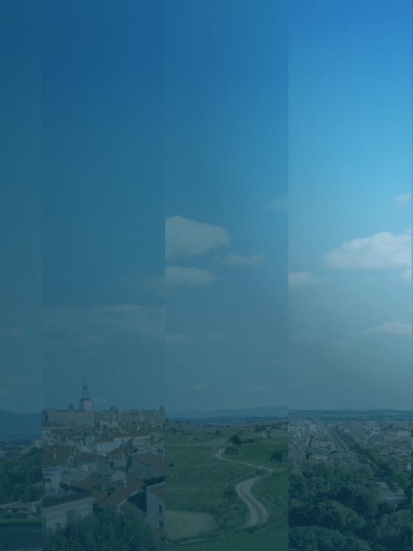 ICI 12/13 - Languedoc Roussillon