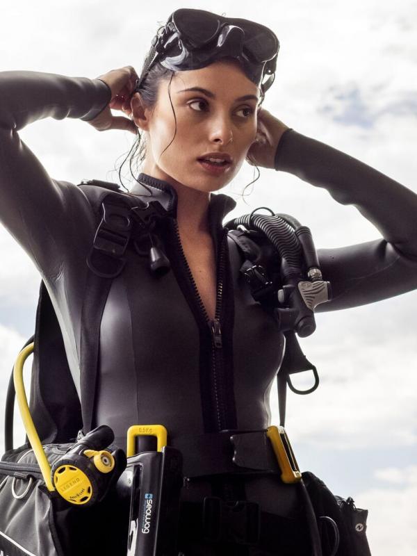 Le transporteur : Héritage