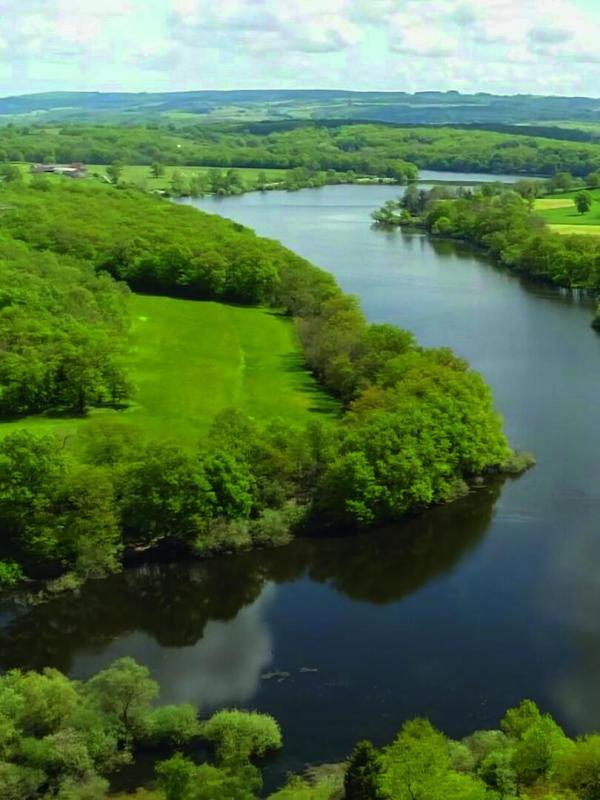 Carpe, destination Saône-et-Loire
