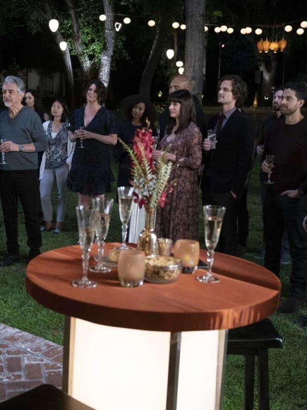 Esprits criminels S13 E19