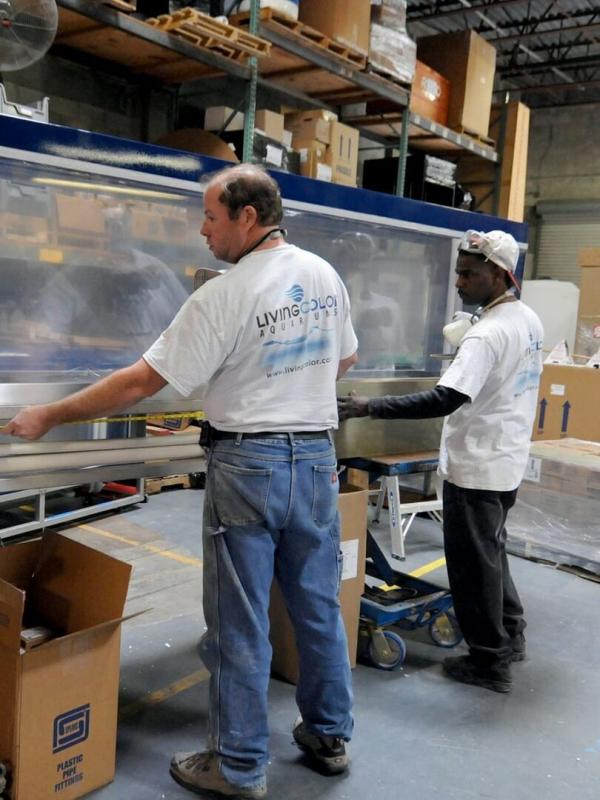 Les rois des aquariums