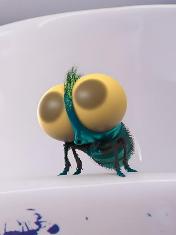 Lucas l'araignée S1 E11