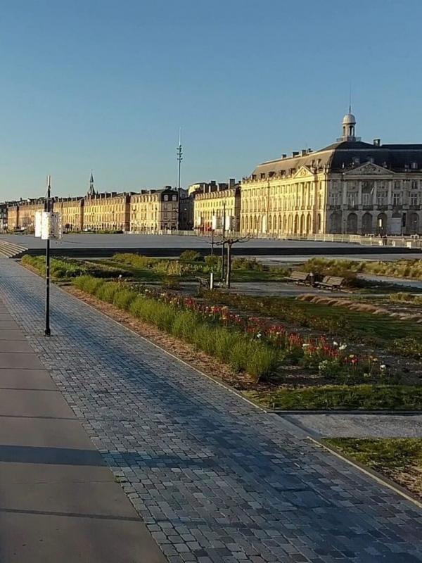 Les secrets de la belle endormie