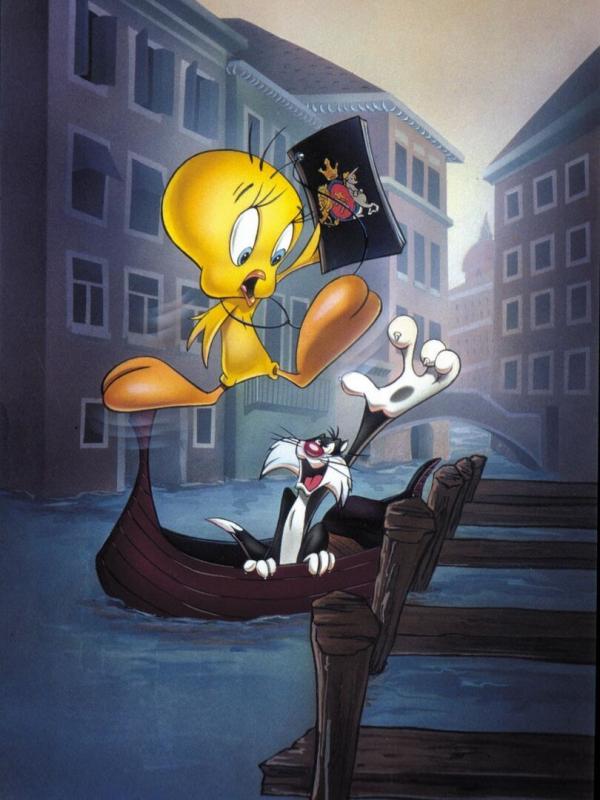 Titi : Le tour du monde en 80 chats