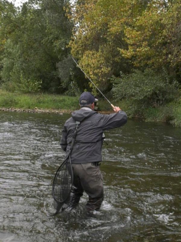 L'ombre dans la lumière