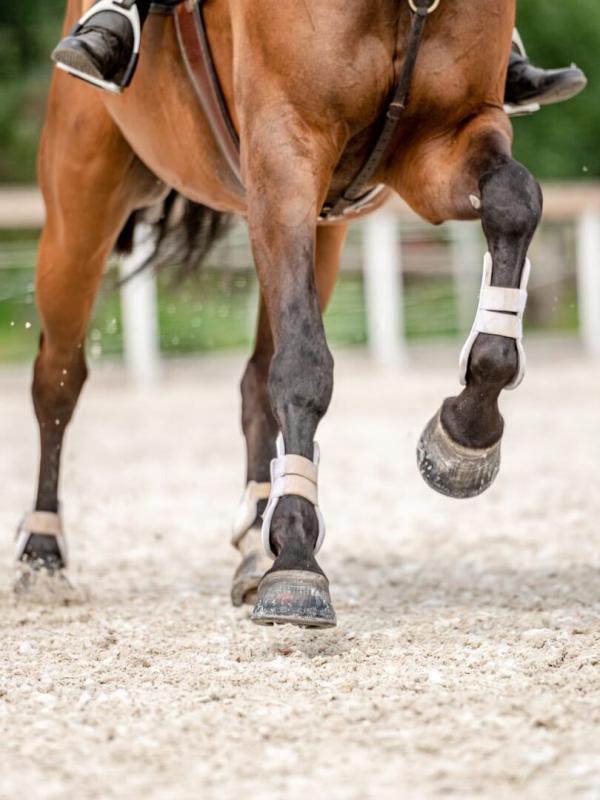 Equitation : Saut Hermès