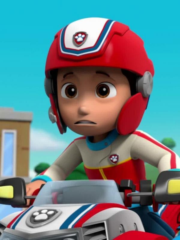 Paw Patrol S6 E8