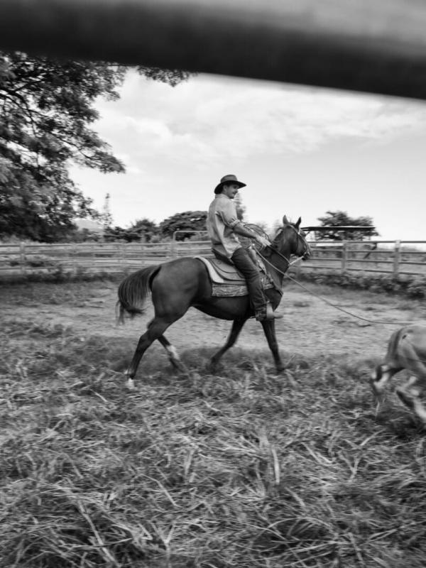 Nouvelle-Calédonie, terres d'avenir
