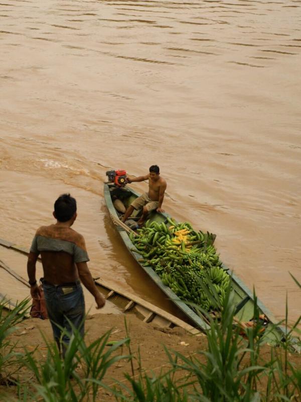 En quêtes indigènes