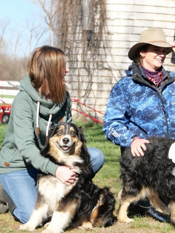 Les Vétérinaires du Midwest