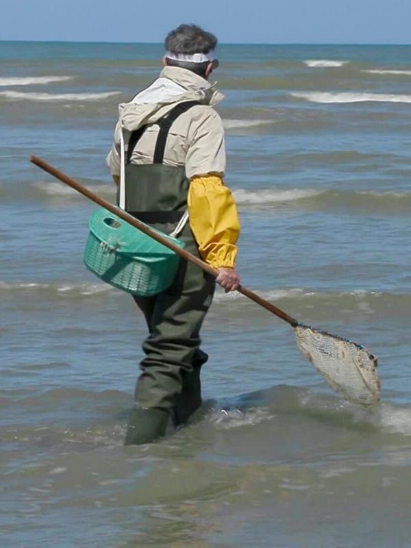 Pêche à pied en Bretagne nord