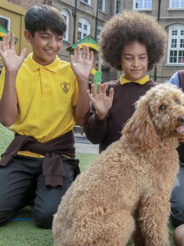 Waffle, le chien waouh S2 E24