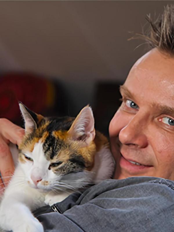 La vie secrète des chats
