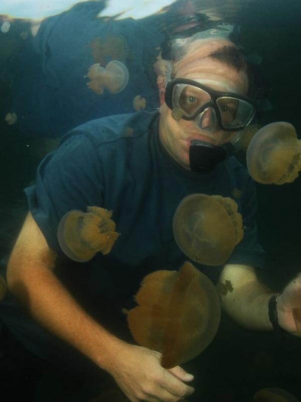 Les rois des aquariums