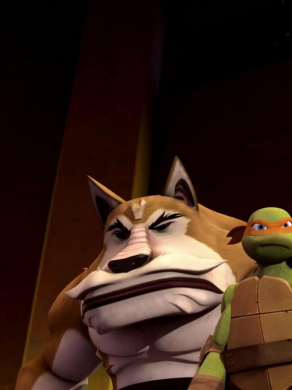 Les Tortues Ninja S1 E19