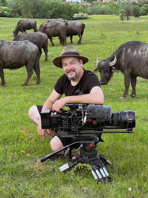 L'histoire du papillon safrané