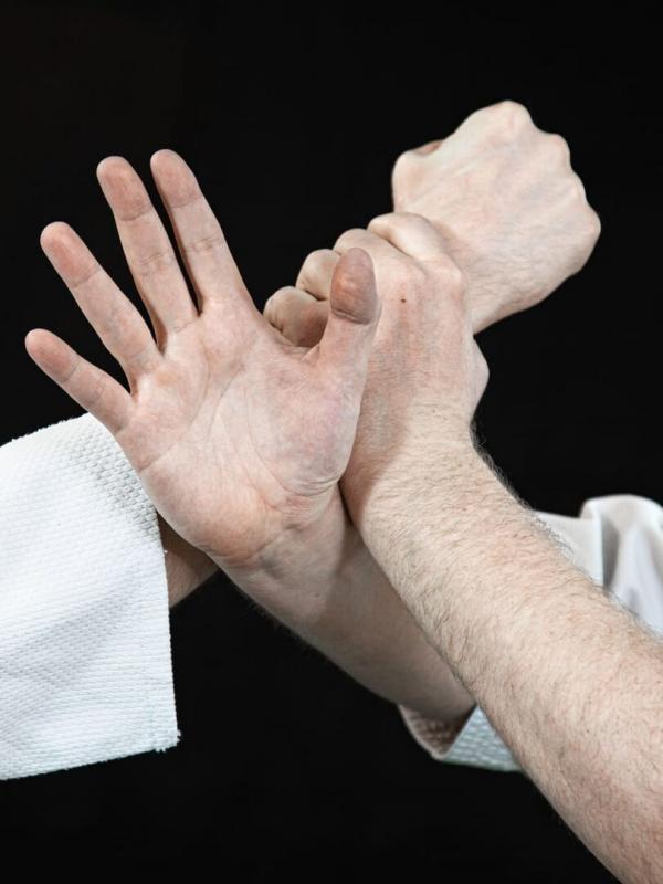 Arts martiaux : Duel MMA