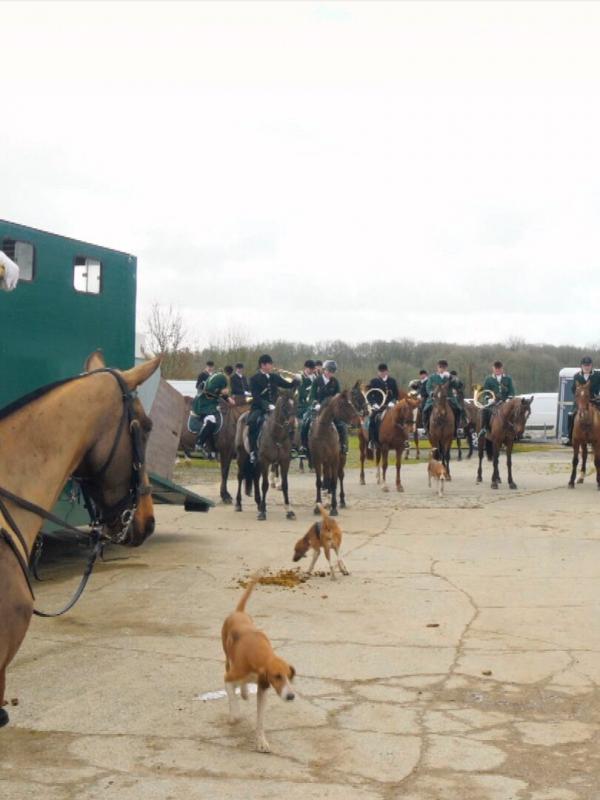 Les chasses du Tigre