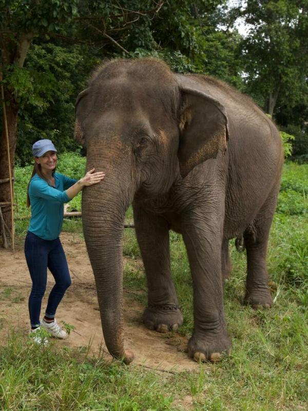 L'hôpital des éléphants