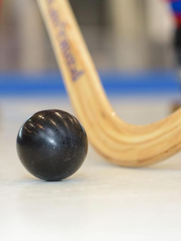 Roller-hockey : Coupe de France