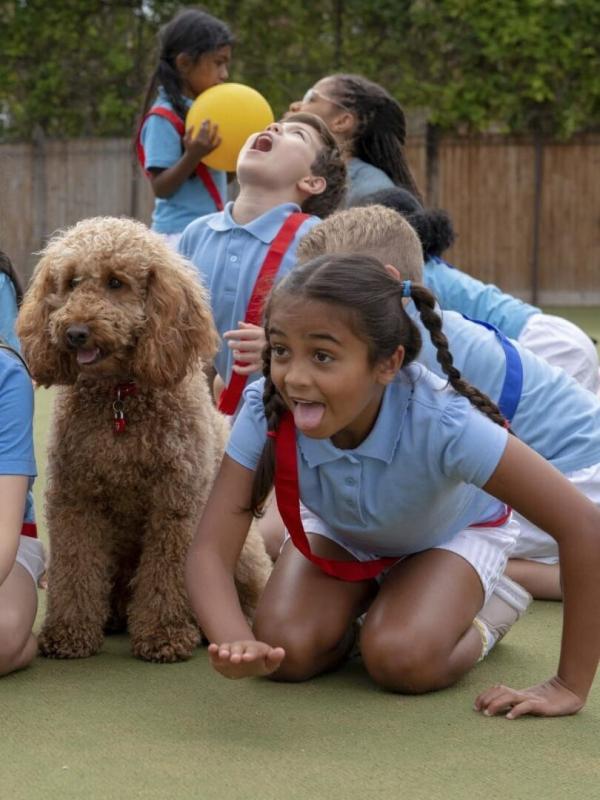 Waffel de wonderhond S2 E9