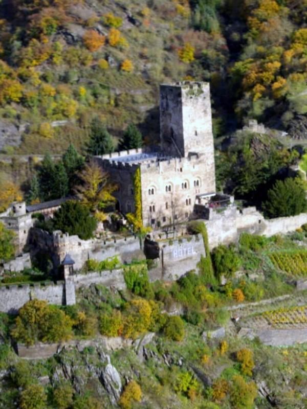 Des vignes et des hommes