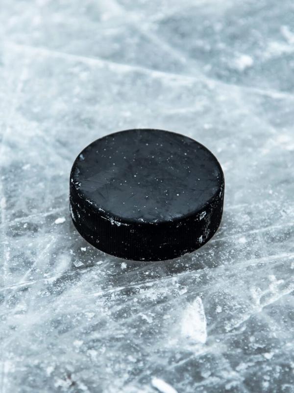 Fribourg-Gottéron - SCRJ Lakers