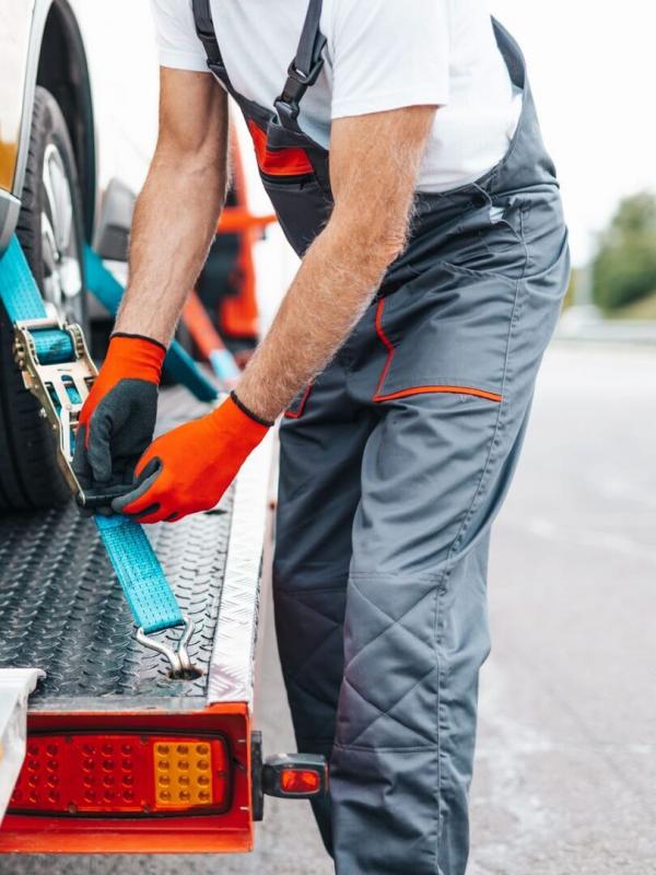 Enlèvement demandé : le quotidien des fourrières