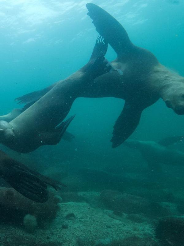 Lizzie Daly, les profondeurs d'Amérique du Nord