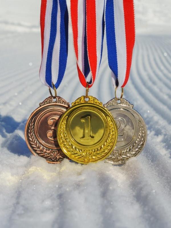 Ski de fond. Bobsleigh