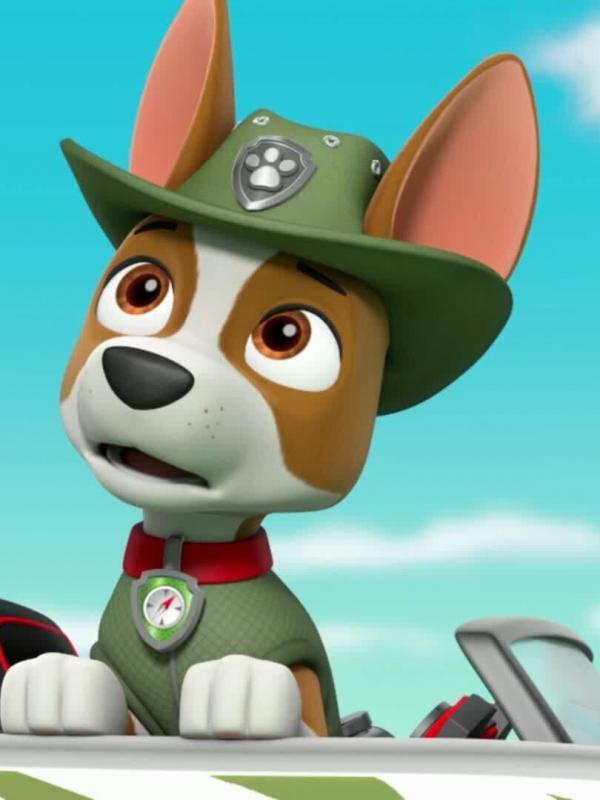 Paw Patrol S4 E25