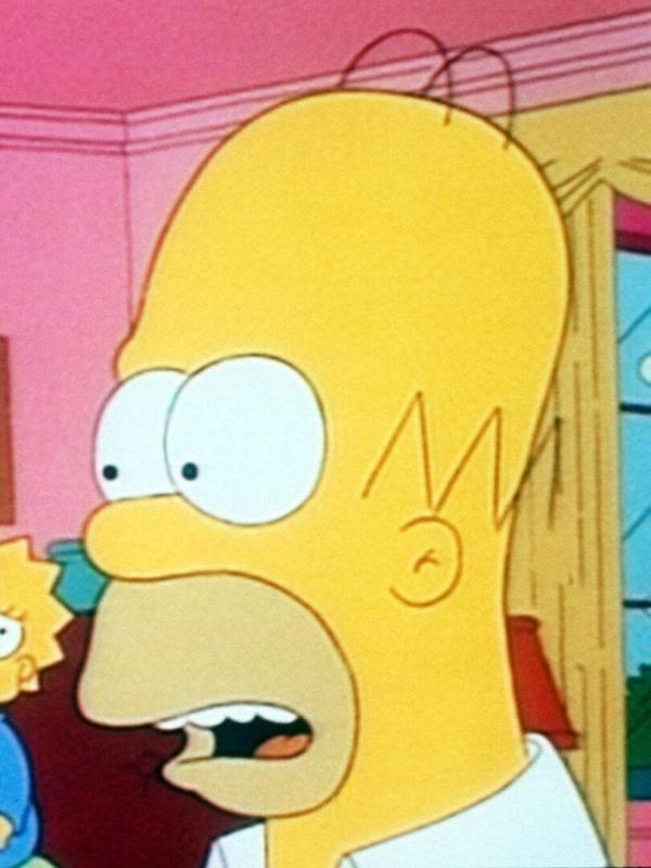 Les Simpson S3 E19