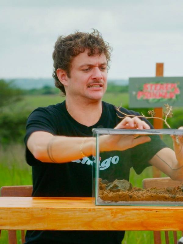 Steken en Prikken in Zuid-Afrika