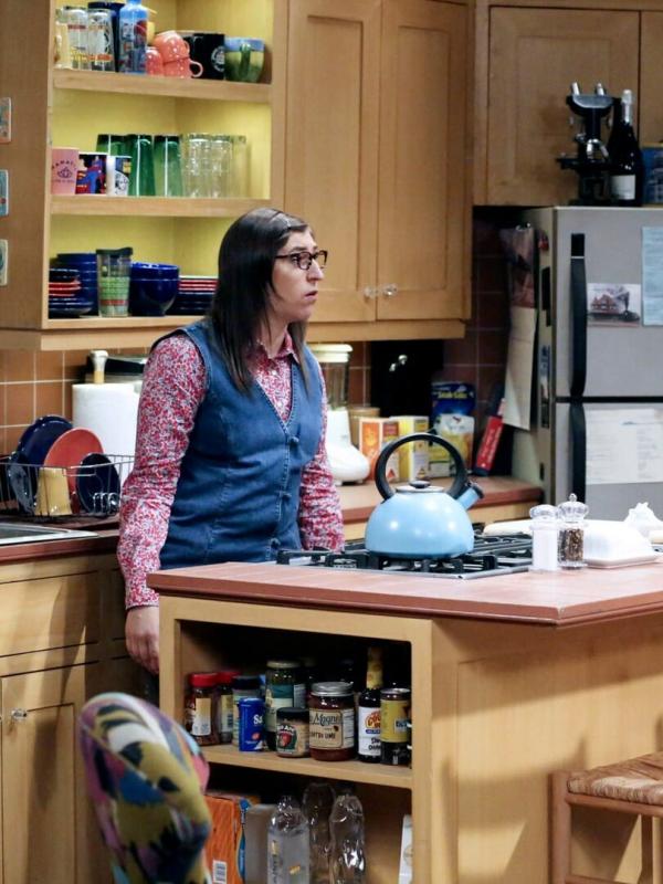 The Big Bang Theory S11 E15